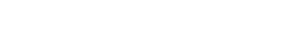 БЕСЛІ Лого